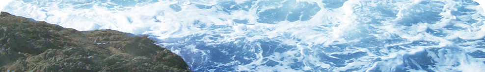 cliffson_banner_bg.jpg